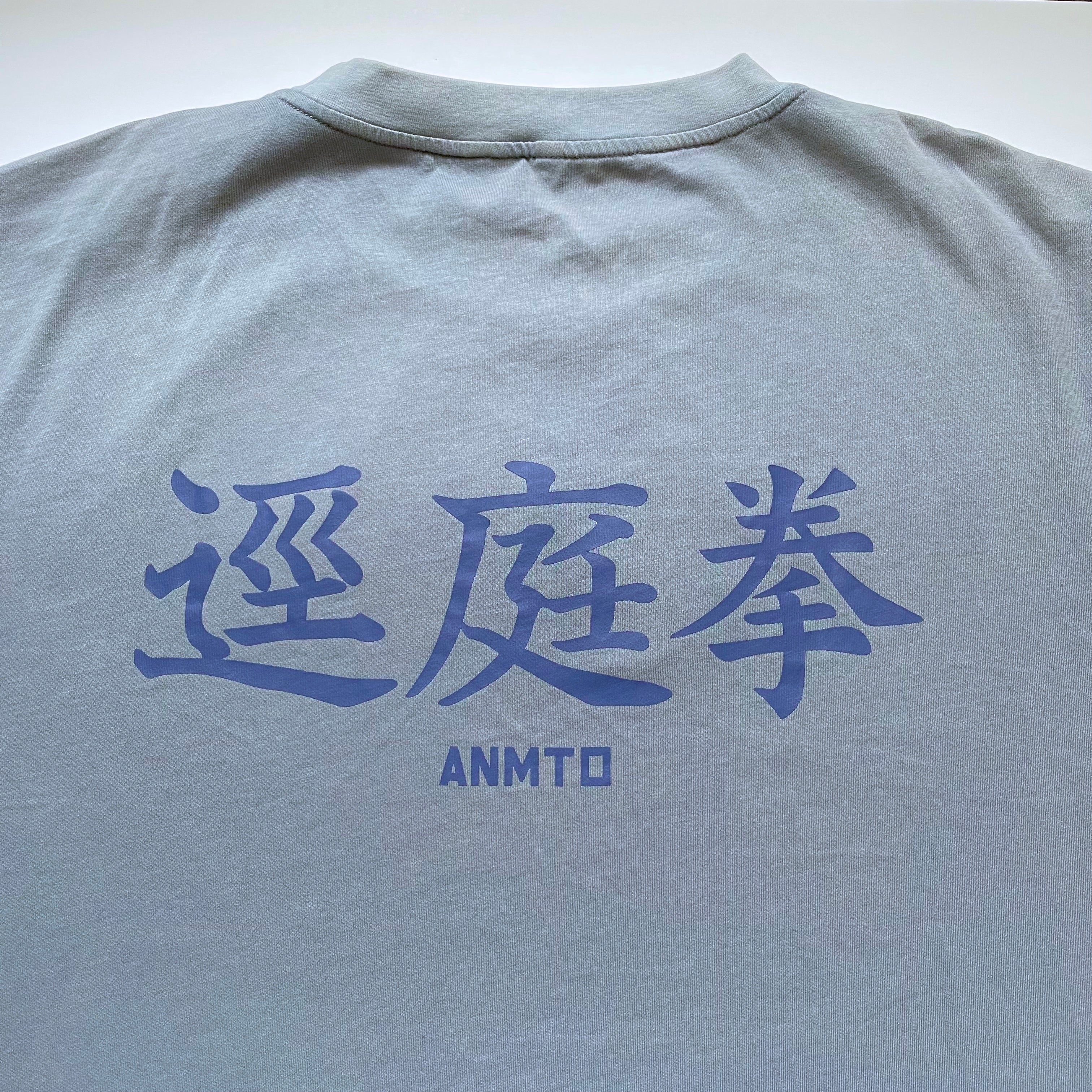 Divergent Fist T-Shirt